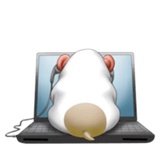 Naughty Hamster WhatsApp Sticker #11