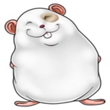 Naughty Hamster WhatsApp Sticker #17