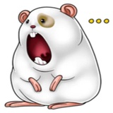 Naughty Hamster WhatsApp Sticker #20