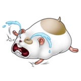 Naughty Hamster WhatsApp Sticker #28