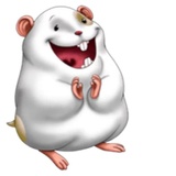 Naughty Hamster WhatsApp Sticker #9