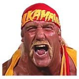 Hulk Hogan