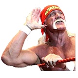 Hulk Hogan WhatsApp Sticker #11
