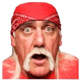 Hulk Hogan WhatsApp Sticker #6