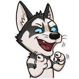Husko WhatsApp Sticker #12