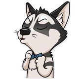 Husko WhatsApp Sticker #13
