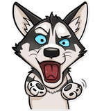Husko WhatsApp Sticker #14
