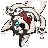 Husko WhatsApp Sticker #15