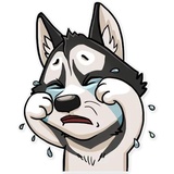 Husko WhatsApp Sticker #16