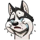 Sticker 16