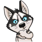 Husko WhatsApp Sticker #17