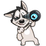 Husko WhatsApp Sticker #19