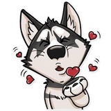 Husko WhatsApp Sticker #2