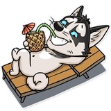 Husko WhatsApp Sticker #21