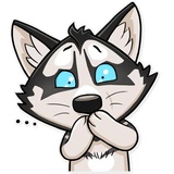 Husko WhatsApp Sticker #22