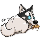 Husko WhatsApp Sticker #25