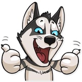 Husko WhatsApp Sticker #3