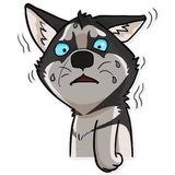 Husko WhatsApp Sticker #4
