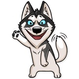 Husko WhatsApp Sticker #5