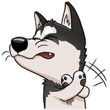 Husko WhatsApp Sticker #7
