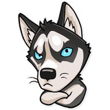 Husko WhatsApp Sticker #8