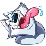 Hussie Goodboy WhatsApp Sticker #12