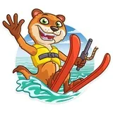 Sticker 5