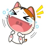 Japanese Kitty WhatsApp Sticker #13