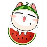 Japanese Kitty WhatsApp Sticker #9