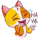 Jaspurr