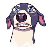Jenna Marbles WhatsApp Sticker #21