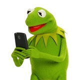 Kermit WhatsApp Sticker #12