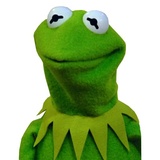 Kermit WhatsApp Sticker #13