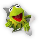 Kermit WhatsApp Sticker #7