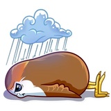 Porg WhatsApp Sticker #23