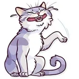 Meme Cats