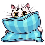 Meme Cats WhatsApp Sticker #11