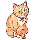 Meme Cats WhatsApp Sticker #12