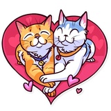 Meme Cats WhatsApp Sticker #14