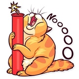 Meme Cats WhatsApp Sticker #15