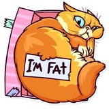 Meme Cats WhatsApp Sticker #17