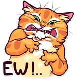 Meme Cats WhatsApp Sticker #20