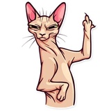 Meme Cats WhatsApp Sticker #24