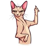 Sticker 24