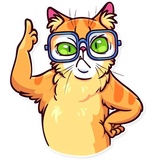 Meme Cats WhatsApp Sticker #25