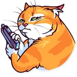 Meme Cats WhatsApp Sticker #26