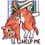 Meme Cats WhatsApp Sticker #28