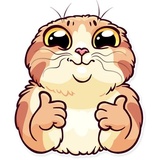 Meme Cats WhatsApp Sticker #3