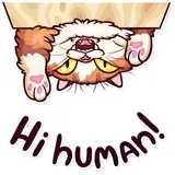 Sticker 5