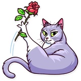 Meme Cats WhatsApp Sticker #6